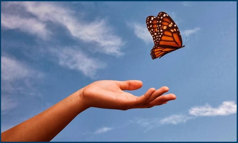 You are currently viewing Letting Go